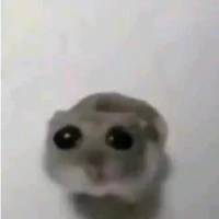 pet cưng của Tanner