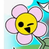 Mr.Flower