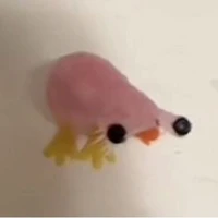 T/G