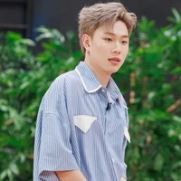 dương domic