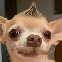toii