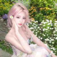 Hạ Nhật Linh