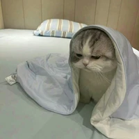 Thập Miêu_hệ thống