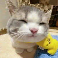 Tác giả xàm xí