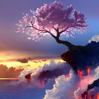nv phụ
