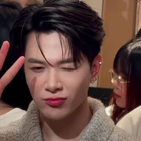 Bùi Anh Tú(atus)