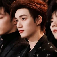 Đinh Trình Hâm_anh trai Nghiêm