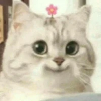 ánh
