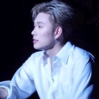 Dương Domic