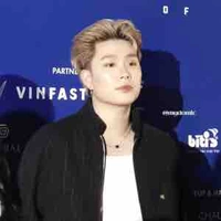 Trần Đăng Dương - Dương domic