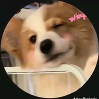 tác giả cute vãi ò