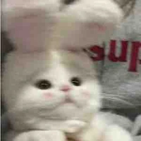 My