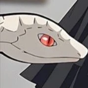 
con rắn(kambukamaru) 