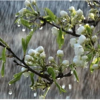 ai tao củng cân tất( all)