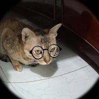 tác giả mèo•<>•