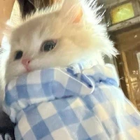 tác giả Tên Bốnggg