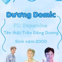 Trần Đăng Dương- Dương Domic