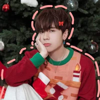 t/g cutii