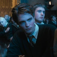 Cedric Diggory