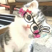 Tg