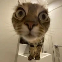 Hệ thống Sồn Làm