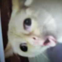 ？？？