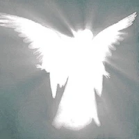 The Light