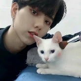 gia ý