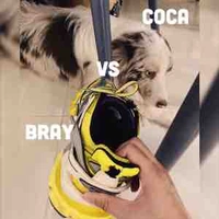 𝐂𝐨𝐜𝐚