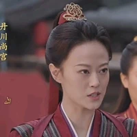 tư đồ cẩn - tướng quân đan xuyên