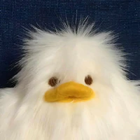 zitt