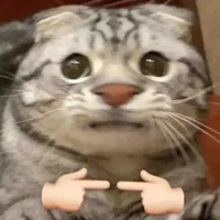 con bò biết bay💅🏻