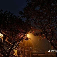 thương/ra vẻ/