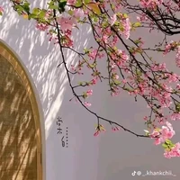 vân/mập/