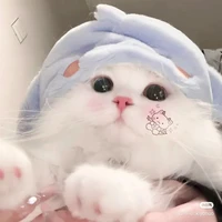 Tác giả cute