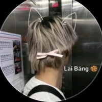 Lai bâng