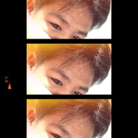 Đỗn lì tác giả