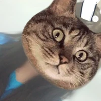 Tg Cua ngố 🦀 nè