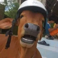 bò nghe 𝕿𝖗𝖎̀𝖓𝖍.