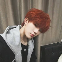 Tô Tân Hạo-Soái Soái