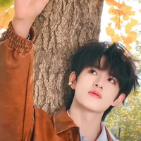 Trương Cực-Đậu Đậu