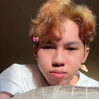 Phoenix-Nguyễn Hữu Đạt
