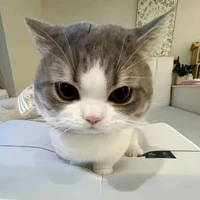 nhỏ này t/g 🎀