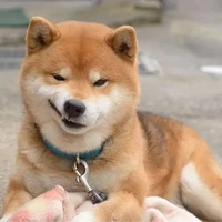 tác giả thích đốt sổ đầu bài