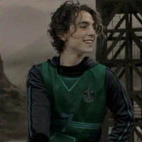 Regulus Black