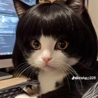 an nek
