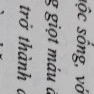 -T/G- [Gọi tôi là Tramcam]