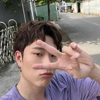 Dương Domic