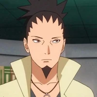 Nara Shikamaru[Boruto]
