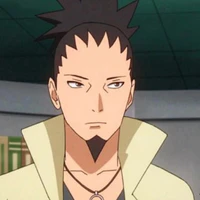 Nara Shikamaru[Boruto]
